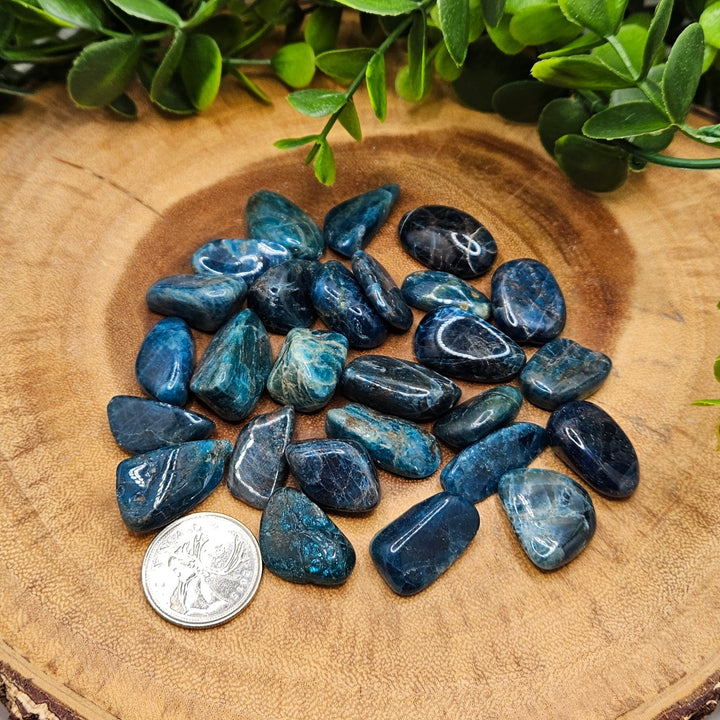 Blue Apatite Tumbled Stone
