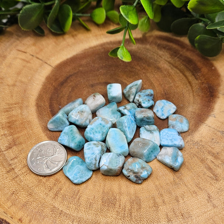 Larimar High Quality Tumbled Stone