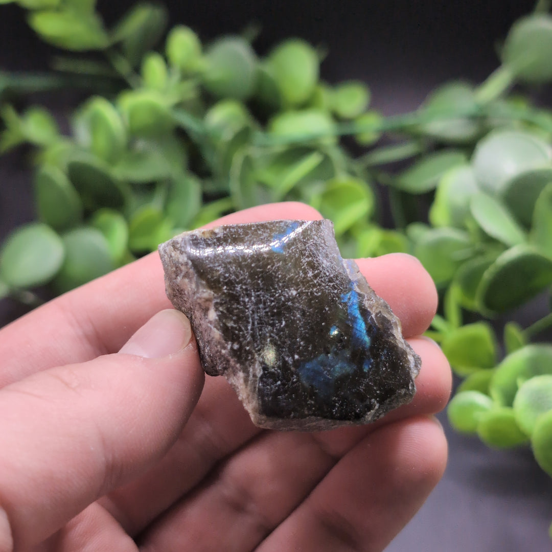 Side Polished Labradorite