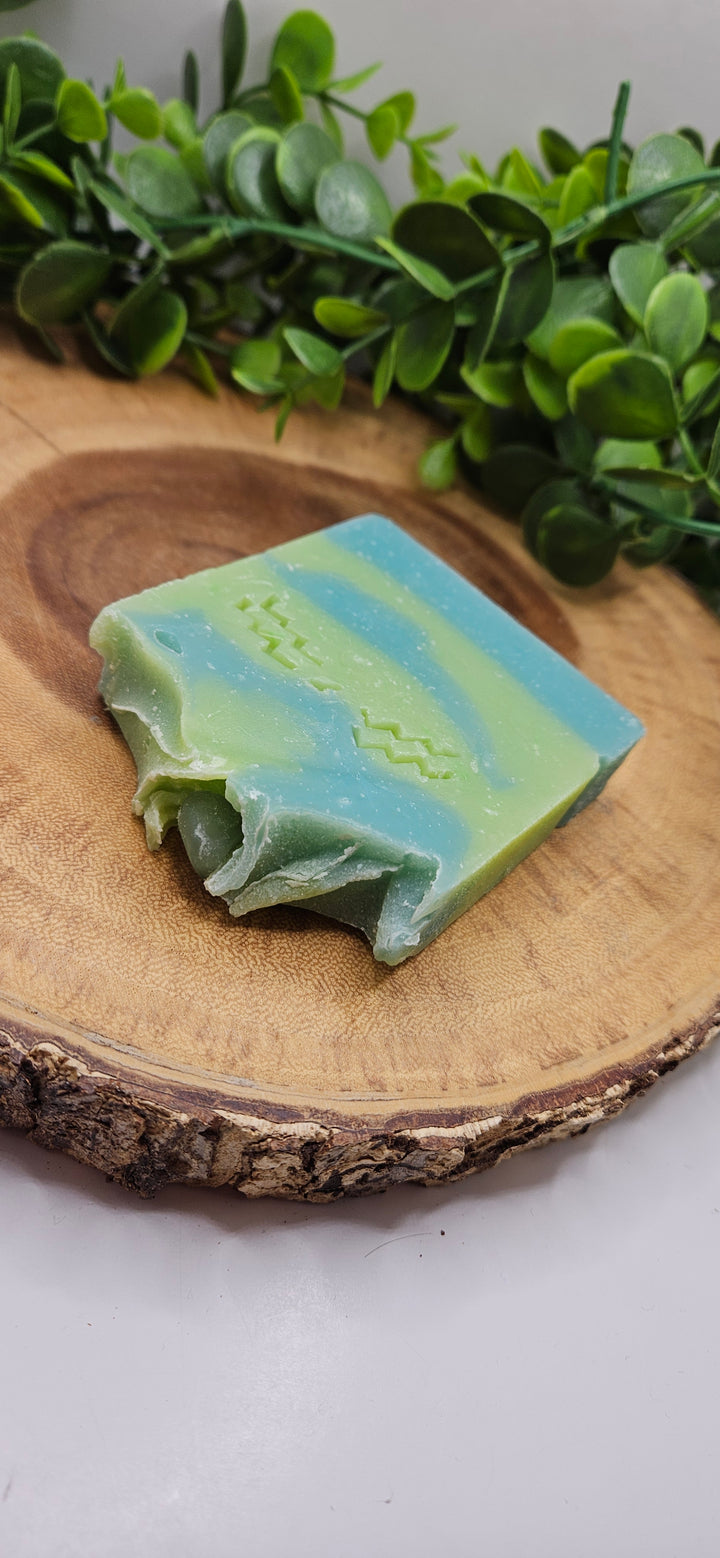 Aquarius Soap Bar