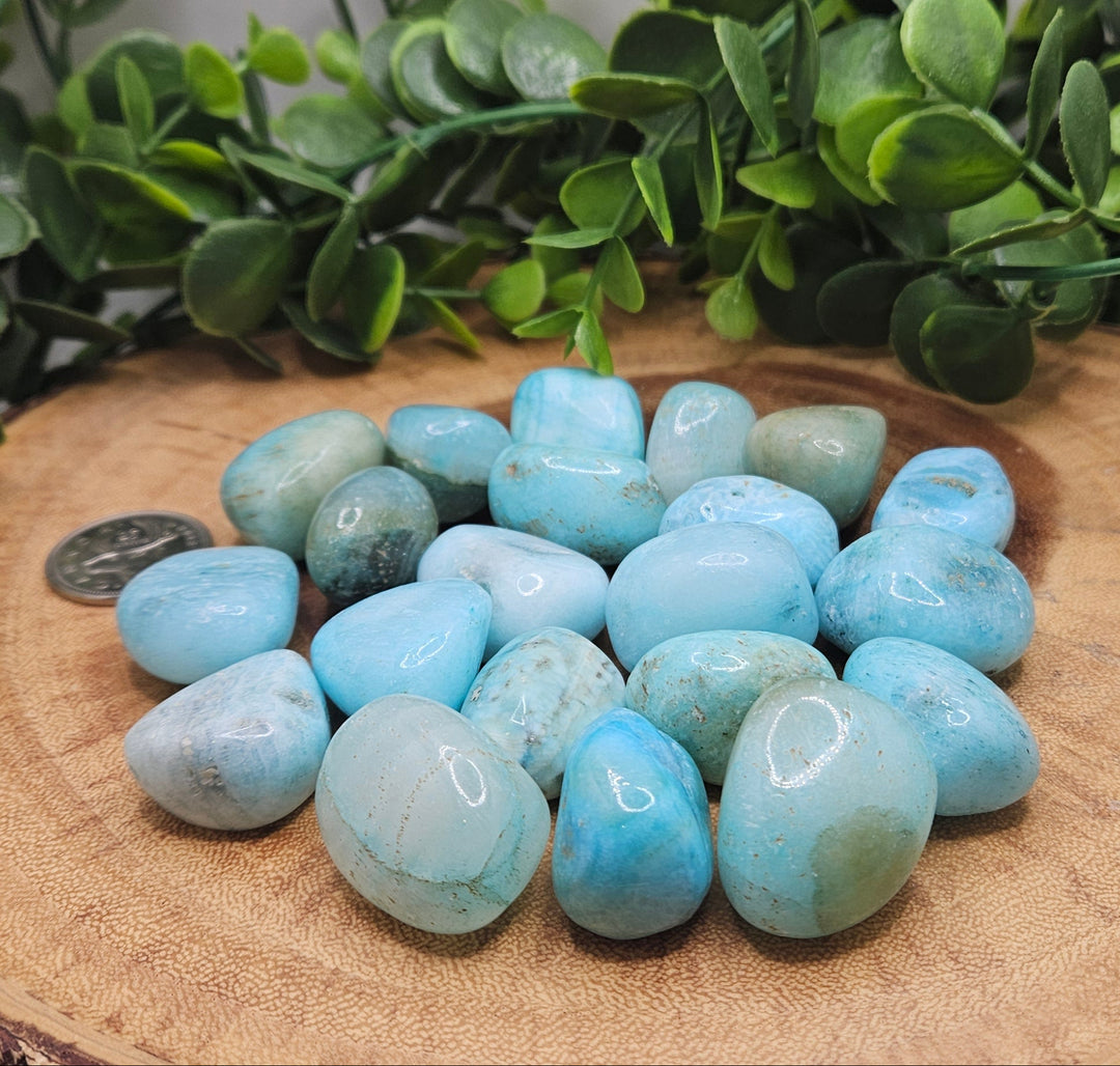 Blue Aragonite Tumbled Stone (M-L)