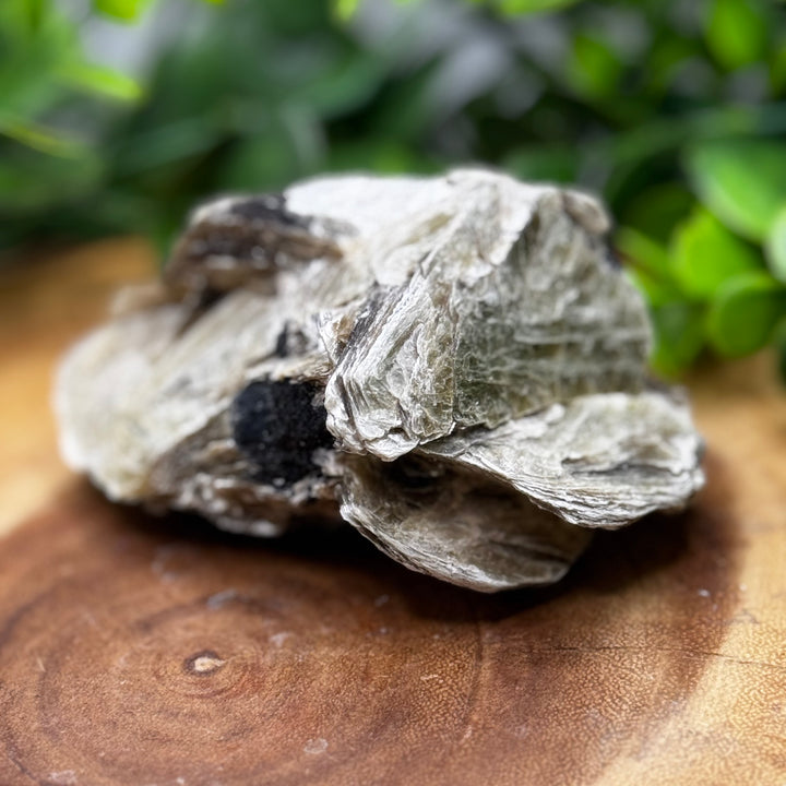Gold Star Mica Cluster #5