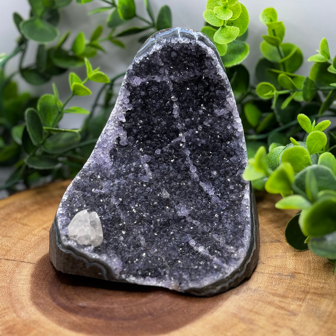 Amethyst Standing Cluster #4
