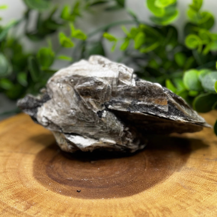 Gold Star Mica Cluster #1