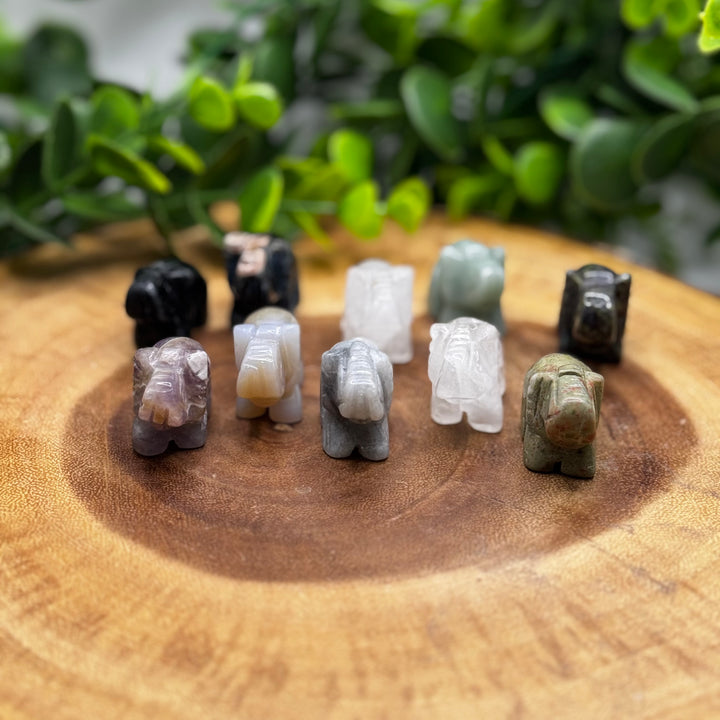 Assorted Elephant Carvings