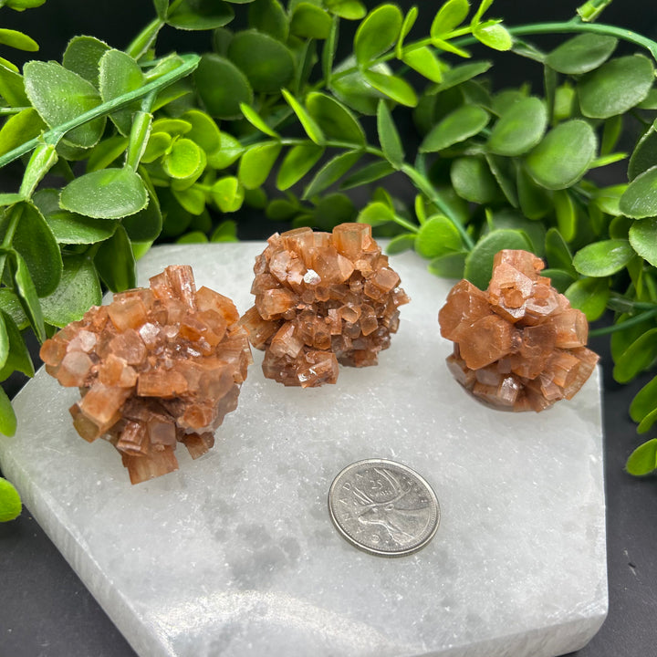 Aragonite Clusters (M)