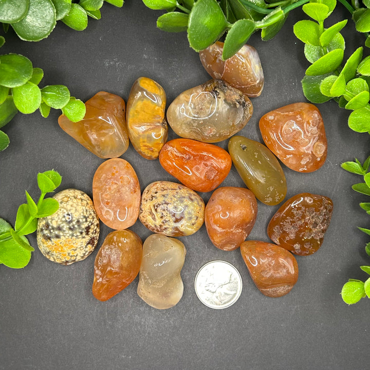 Carnelian Tumbled (M-L)