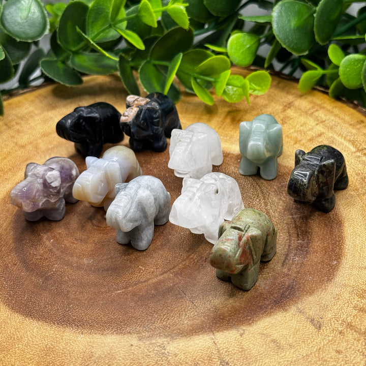 Assorted Elephant Carvings