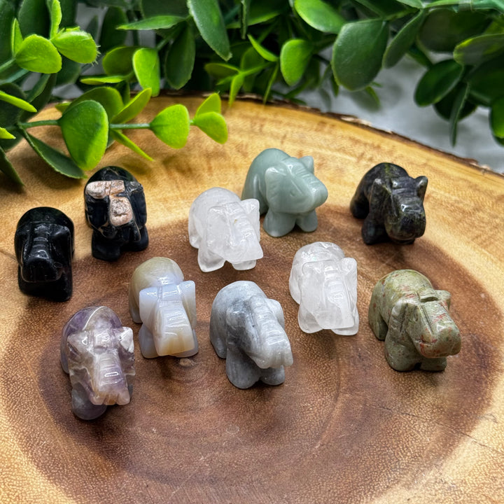 Assorted Elephant Carvings