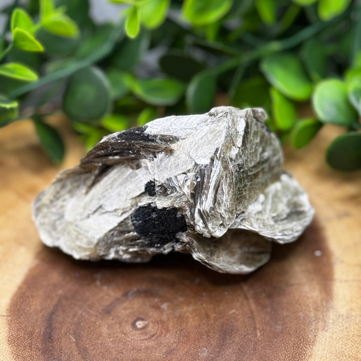 Gold Star Mica Cluster #5
