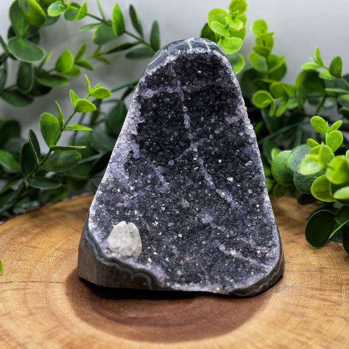 Amethyst Standing Cluster #4
