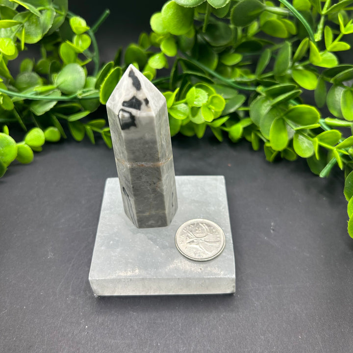 Picasso Jasper Polished Point (#1)