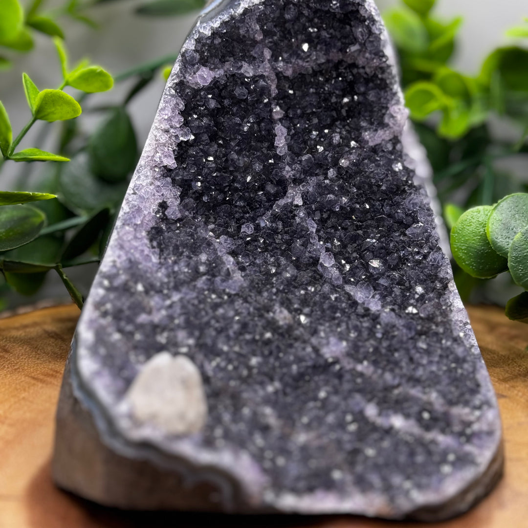 Amethyst Standing Cluster #4