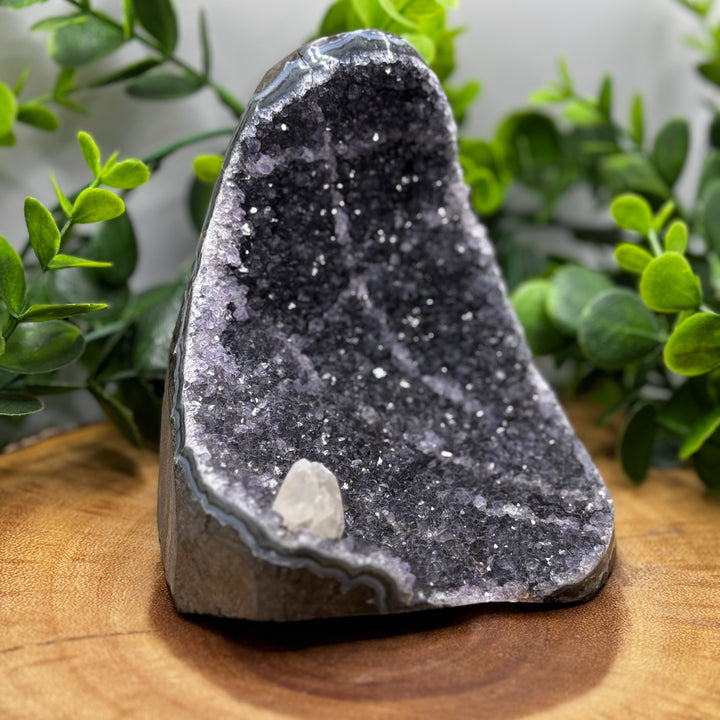 Amethyst Standing Cluster #4