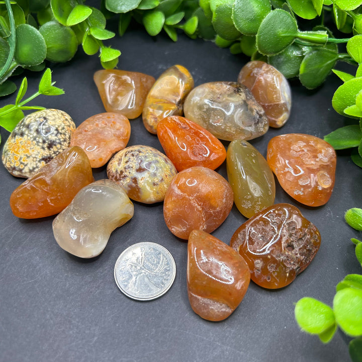 Carnelian Tumbled (M-L)