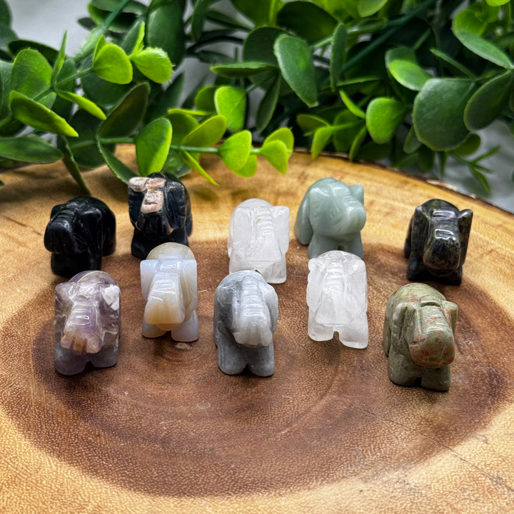 Assorted Elephant Carvings