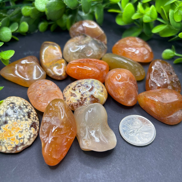 Carnelian Tumbled (M-L)
