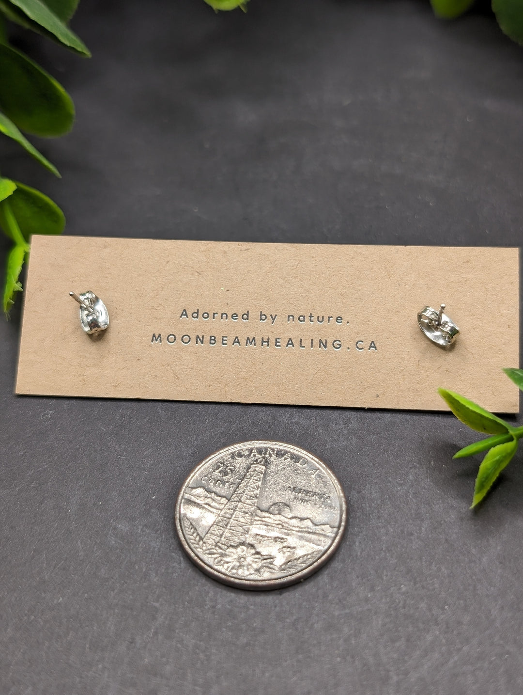 Clear Quartz Polished Earrings