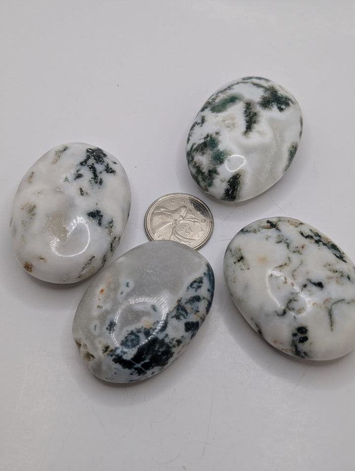 Moss Agate Palm Stone