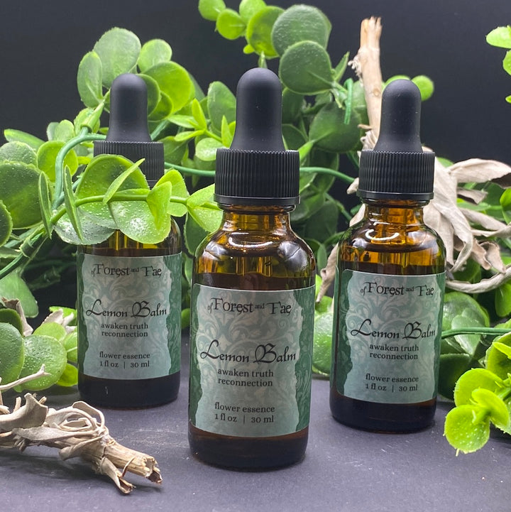 Lemon Balm Flower Essence