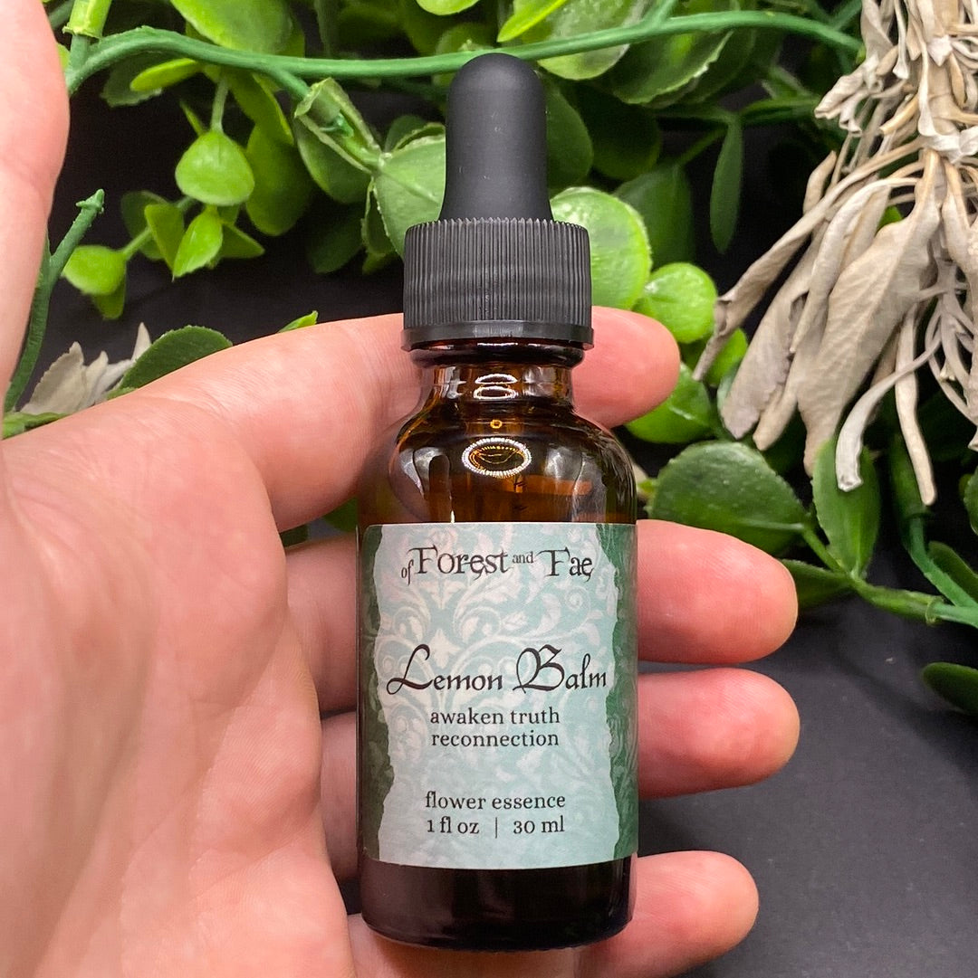 Lemon Balm Flower Essence