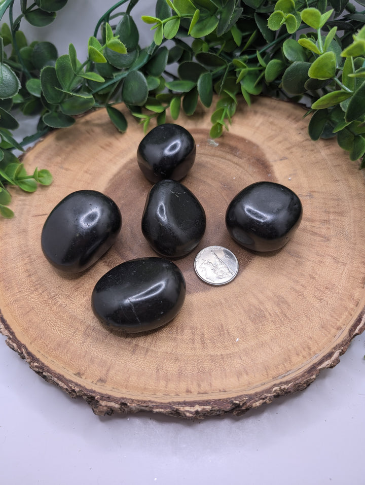 Shungite Nuggets