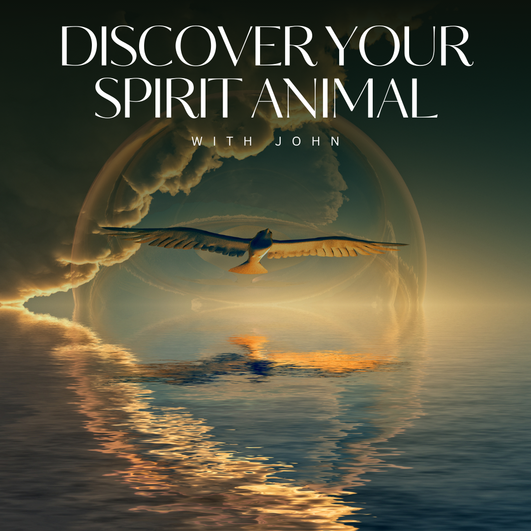 Discover Your Spirit Animal with John Wilson