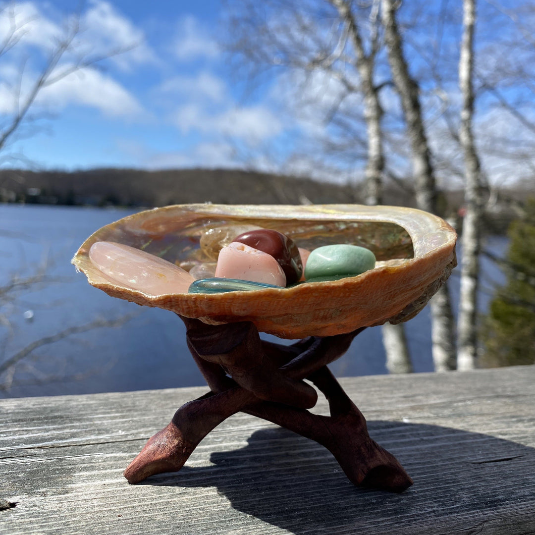 Abalone Shell for Smudging