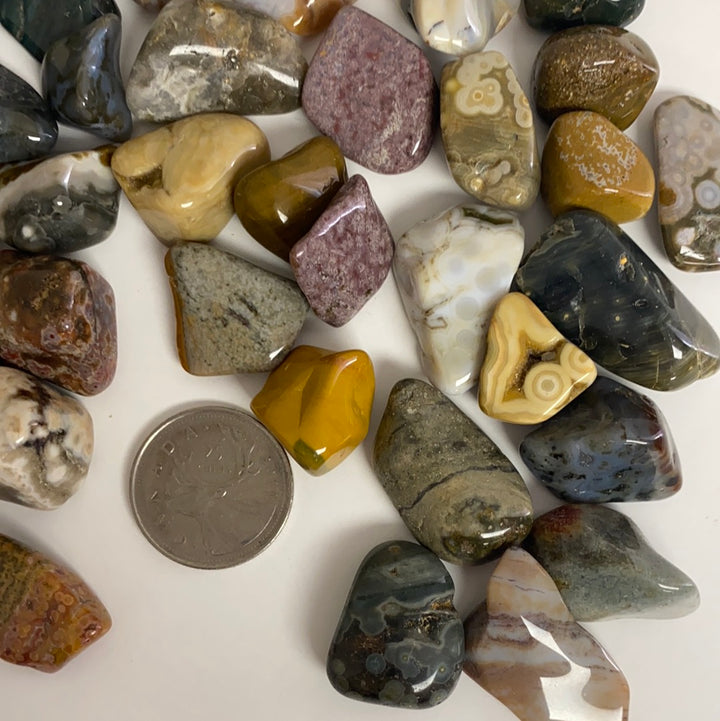 Ocean Jasper Tumbled
