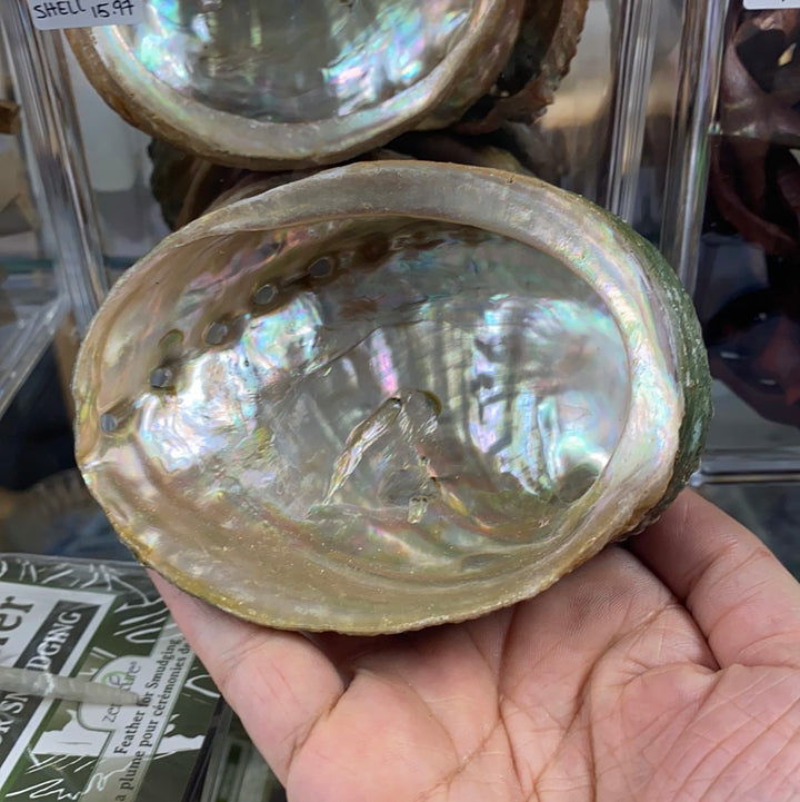 Abalone Shell for Smudging
