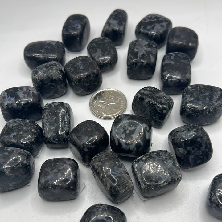 Indigo Gabbro/Mystic Merlinite Tumbled Stone (S)