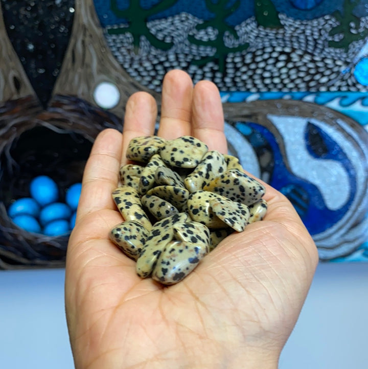 Dalmatian Jasper Tumbled Stones