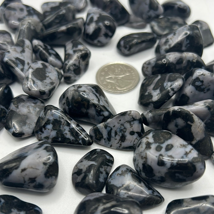 Indigo Gabbro/Mystic Merlinite Tumbled Stone (S)
