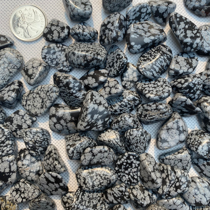 Snowflake Obsidian Tumbled Stones
