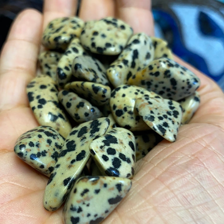 Dalmatian Jasper Tumbled Stones