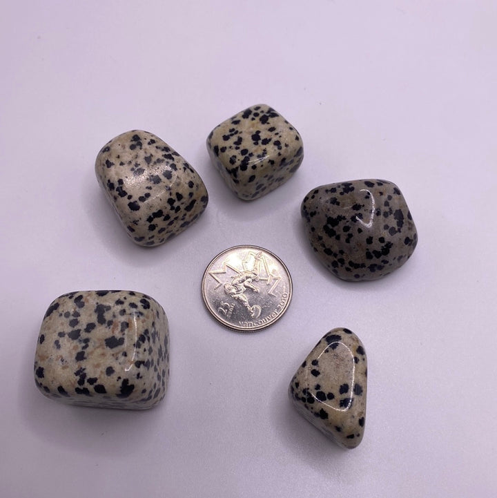 Dalmatian Jasper Tumbled Stones