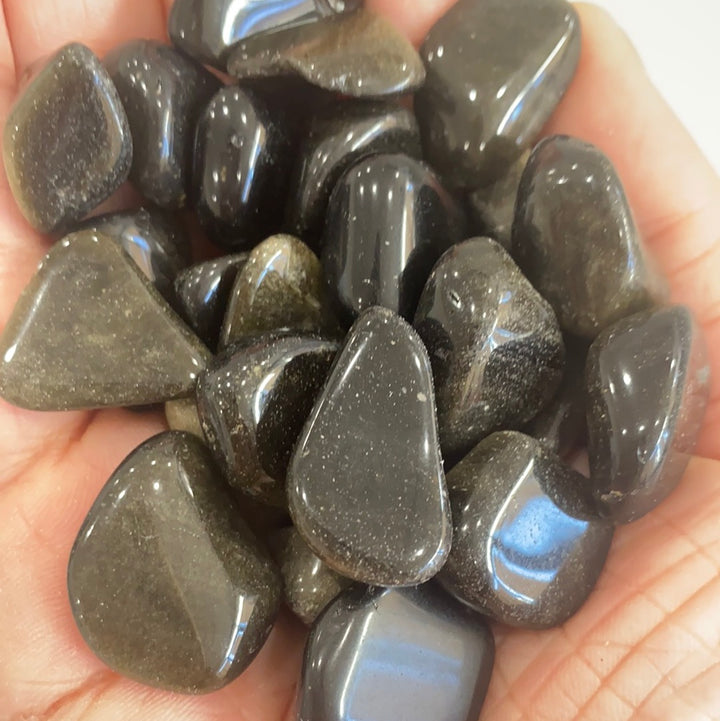 Gold Sheen Obsidian Tumbled