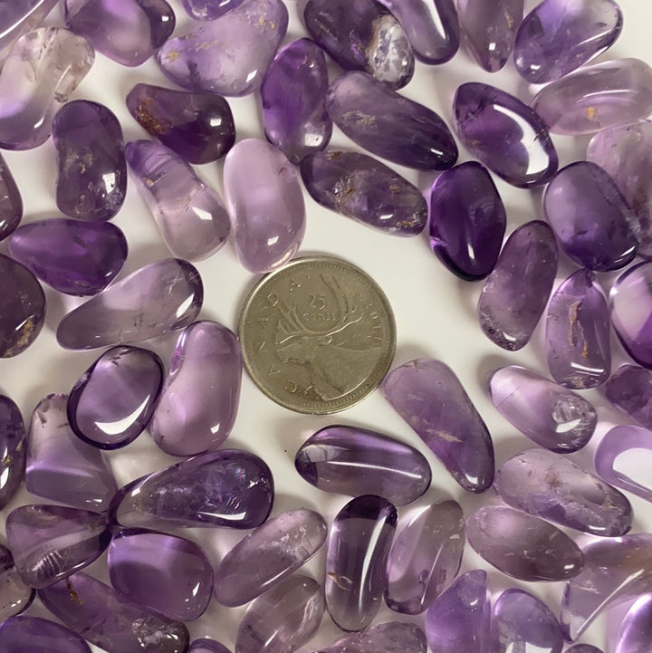 Amethyst Tumbled High Quality (XS)