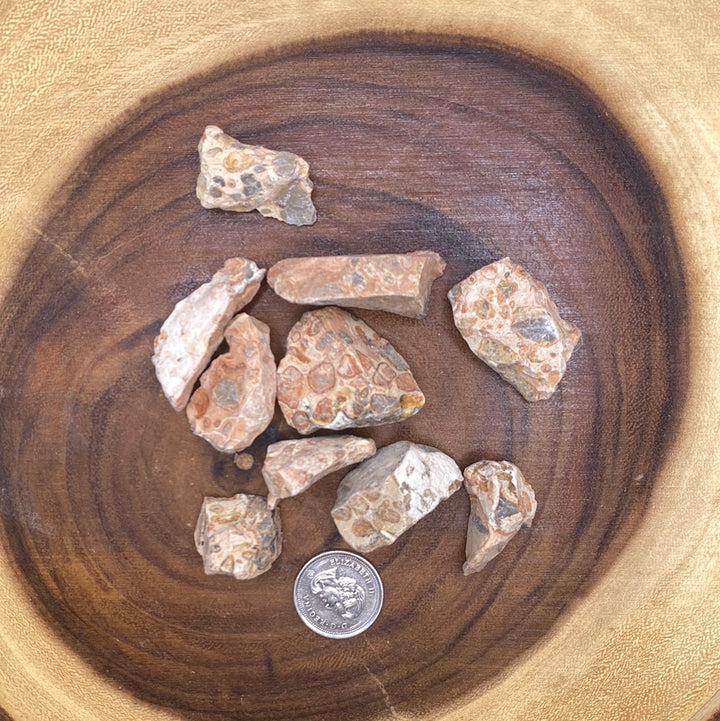 Leopardite Rough Cut