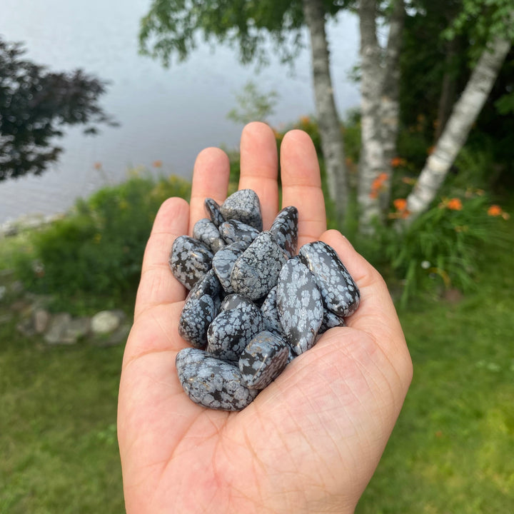 Snowflake Obsidian Tumbled Stones