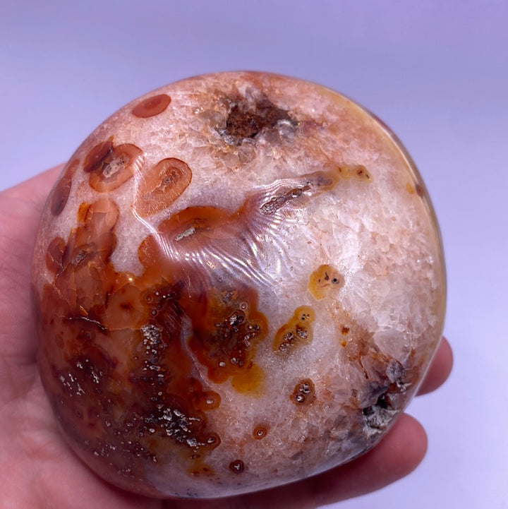 Carnelian Free Forms