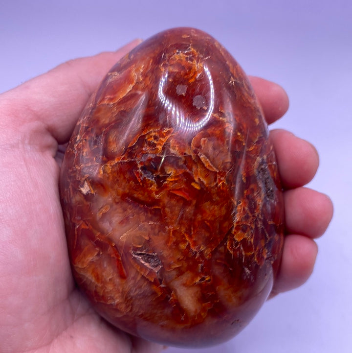 Carnelian Free Forms