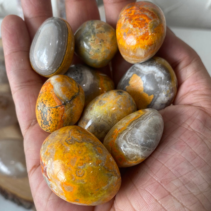 Bumble Bee Jasper High Quality Tumbled (L)
