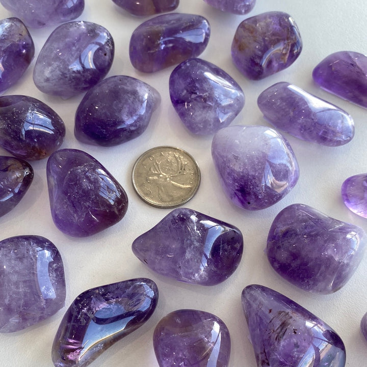 Amethyst Tumbled (M-L)