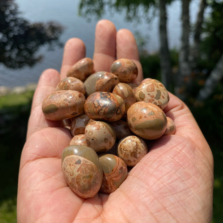 Leopard Skin Tumbled (S-M)