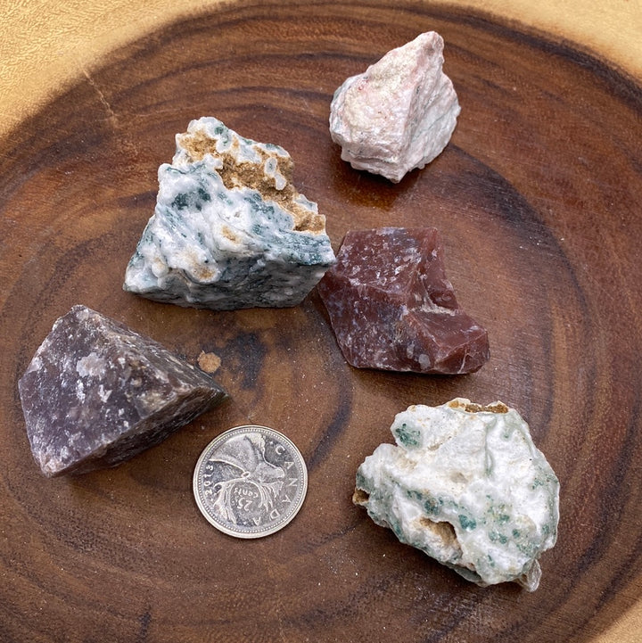 Tree Agate Rough Cut