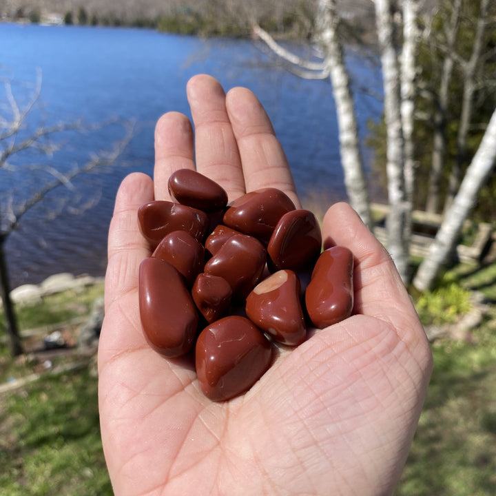 Red Jasper Tumbled Healing Stones