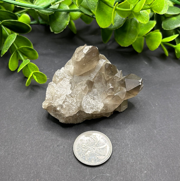 Smokey Quartz Cluster