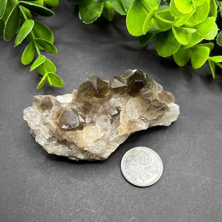 Smokey Quartz Cluster