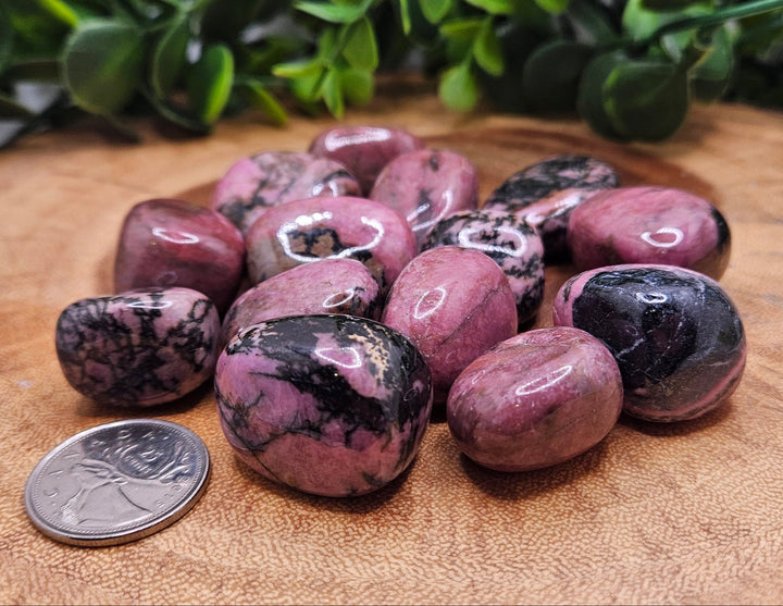 Rhodonite Tumbled Stones